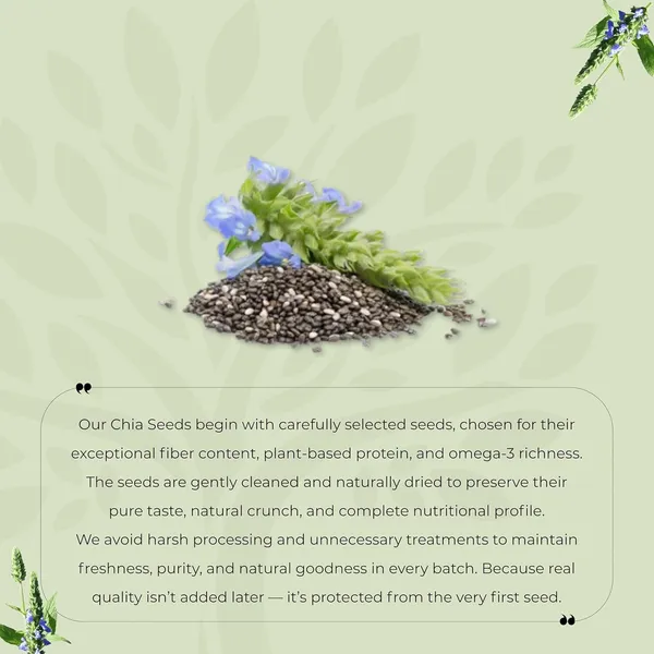 Shree_Aanantam_Chia_Seeds_Rich_In_Omega_And_Fibre_For_Summer_Non_Gmo_Diet_Snacks_Seeds_For_Eating_Pack_Of_2