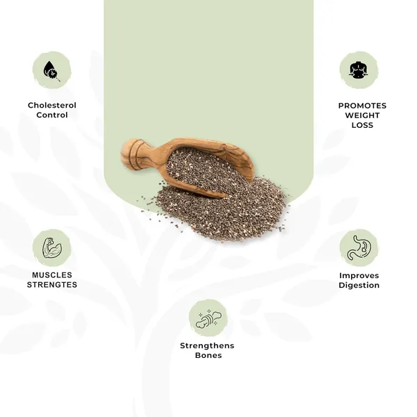 Shree_Aanantam_Chia_Seeds_Rich_In_Omega_And_Fibre_For_Summer_Non_Gmo_Diet_Snacks_Seeds_For_Eating_Pack_Of_2