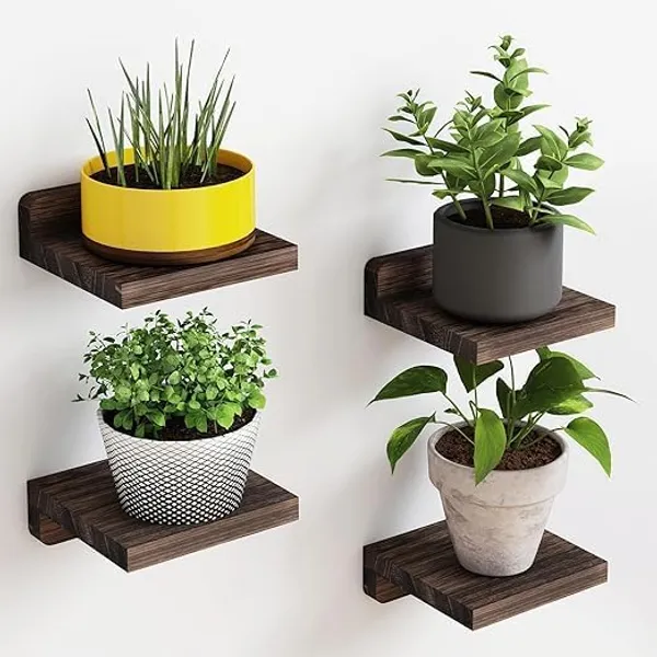 Brown_Engineered_Wood_Floating_Wall_Shelves_Pack_Of_4