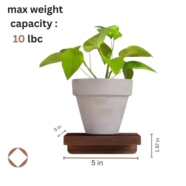 Black_Engineered_Wood_Floating_Wall_Shelves_Pack_Of_4