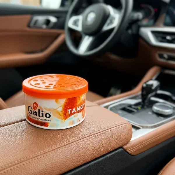 Galio_Tangy_Delight_Automotive_Fragrance_Dash_And_Console_Air_Freshener