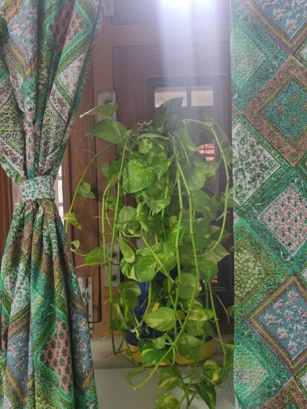 Moroccan_Tile_Cotton_Curtain_Set:_Bohemian_Semi_Sheer_Drapes