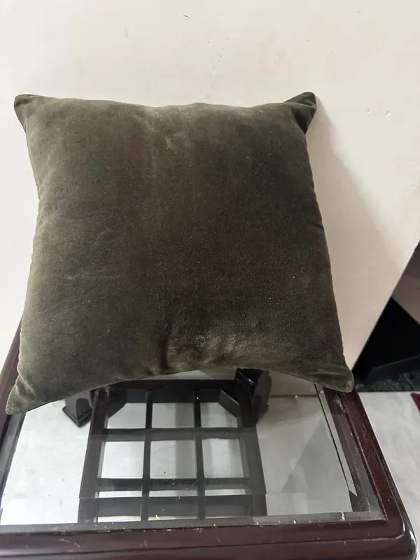 Soft_Velvet_Throw_Pillow,_Decorative_Cushion_Cover_Pack_Of_6