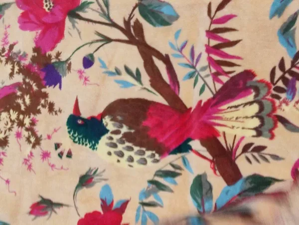 Luxury_Cotton_Velvet_Fabric:_Bird_Print,_Beige_Peach,_45"_Wide