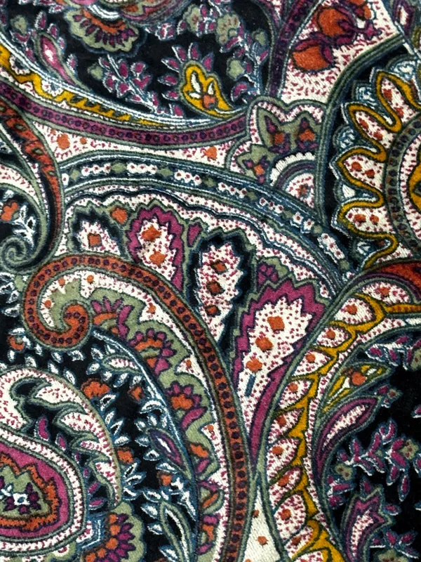 Luxury_Cotton_Velvet_Fabric:_Multicolor_Paisley_Print,_45"_Wide