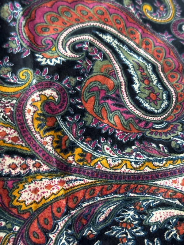 Luxury_Cotton_Velvet_Fabric:_Multicolor_Paisley_Print,_45"_Wide
