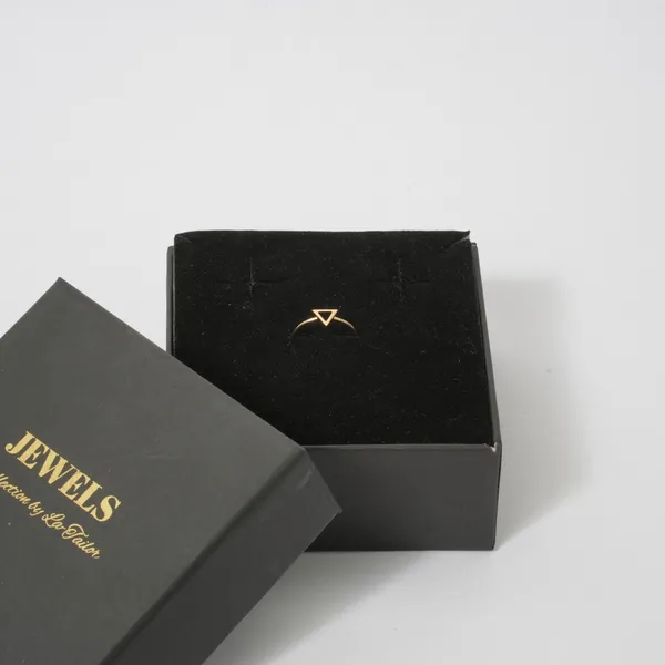 Delicate_Gold_Triangle_Adjustable_Ring
