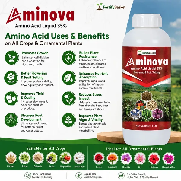 Aminova_Amino_Acid_Liquid_35%_-_Flowering_&_Fruit_Setting_Plant_Growth_Supplement_&_Stickon_Silicon_Based_Spreader_-_All_Purpose_Spray_Adjuvant_For_Better_Nutrient_Retention_(Pack_Of_2)
