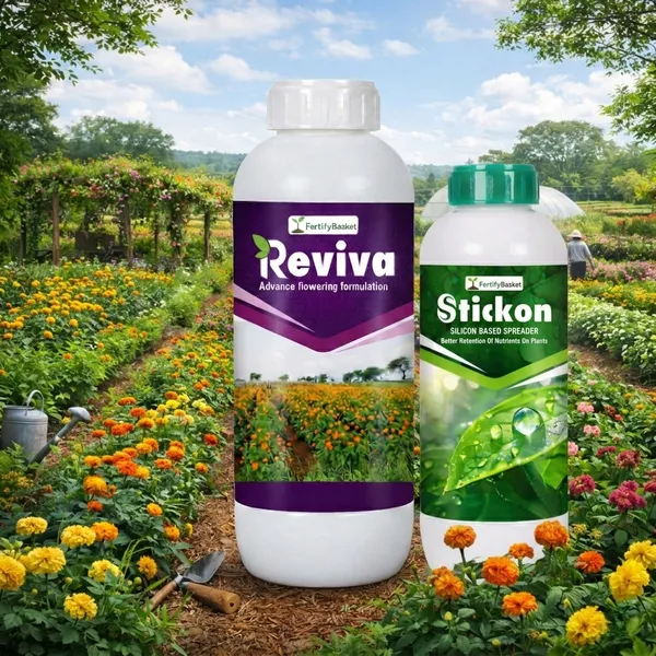 Reviva_Advanced_Flowering_Formulation_-_Plant_Growth_Booster_For_Flowers,_Fruits_&_Vegetables_&_Stickon_Silicon_Based_Spreader_-_All_Purpose_Spray_Adjuvant_For_Better_Nutrient_Retention_(Pack_Of_2)