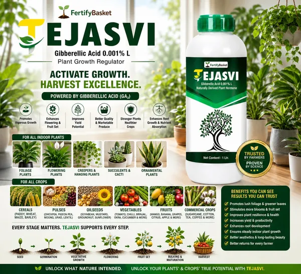Tejasvi_Gibberellic_Acid_0.001%_L_-_Plant_Growth_Hormone_And_Fertilizer