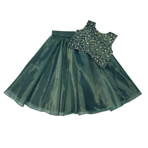 Baby_Girl_S_Traditional_Readymade_Lehenga_Choli_For_Kids