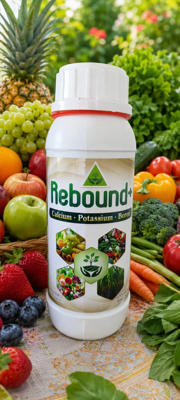 REBOUND_+_CALCIUM+POTASSIUM+BORON_500ml