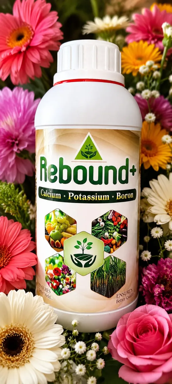 REBOUND_+_CALCIUM+POTASSIUM+BORON_1L
