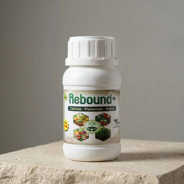 Rebound_And_Plant_Growth_Supplement_Calcium_Potassium_And_Boron_Fertilizer_250_Ml