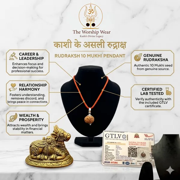 Premium_10_Mukhi_Rudraksha_(20mm_-24_mm)_with_Lab_Certification_-_Das_Mukhi_(Nepal_Origin)_-_The_Worship_Wear