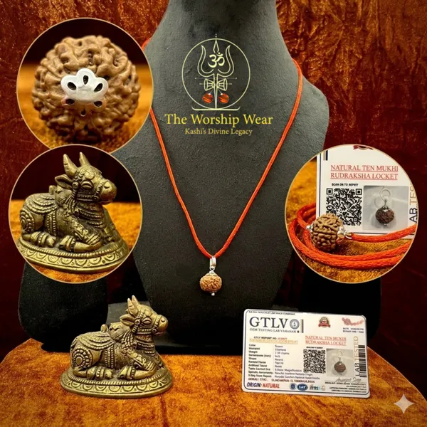 Premium_10_Mukhi_Rudraksha_(20mm_-24_mm)_with_Lab_Certification_-_Das_Mukhi_(Nepal_Origin)_-_The_Worship_Wear