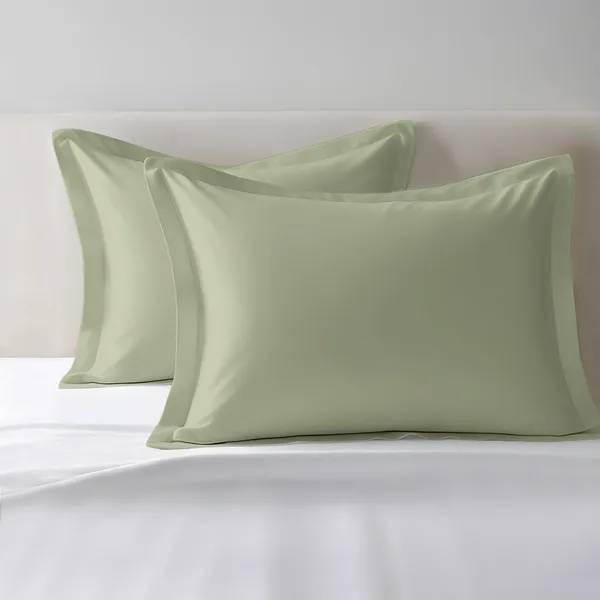 Pizuna_100%_Cotton_Solid_Light_Sage_Pillow_Cover_Set_Of_2