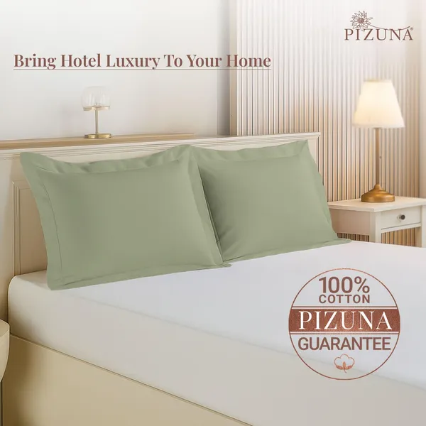 Pizuna_100%_Cotton_Solid_Light_Sage_Pillow_Cover_Set_Of_2