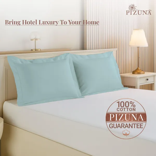 Cotton_Solid_Baby_Blue_Pillow_Covers_Set_Of_2
