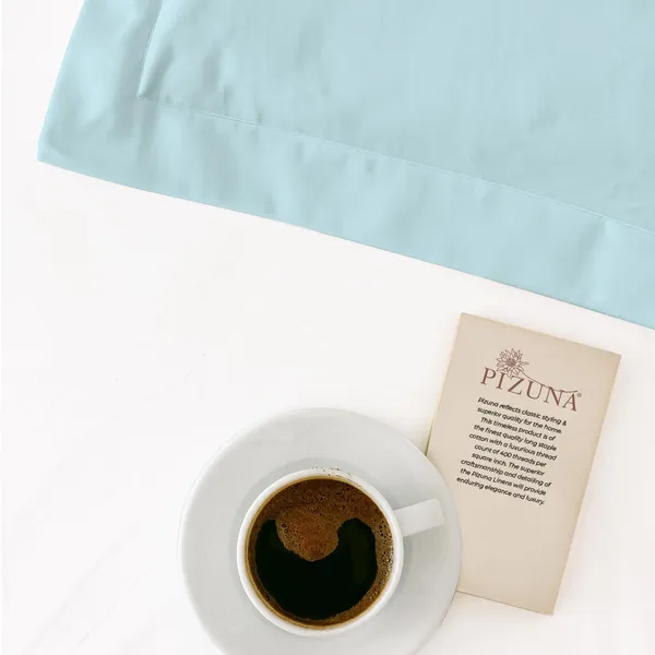Cotton_Solid_Baby_Blue_Pillow_Covers_Set_Of_2
