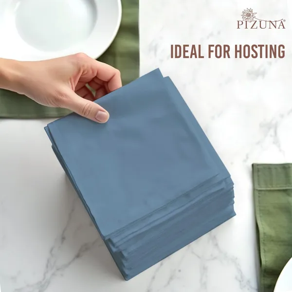 Cotton_Sateen_Solid_Dusty_Blue_Dinner_Napkins_Set_Of_24