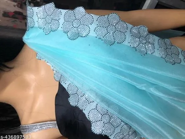 Beautiful_Designer_Jimmy_Choo_Type_Organza_Super_Net_Silk_Saree_Swarovski_Crystal_With_Diamond_Work_And_Blouse_Diamond_Lace
