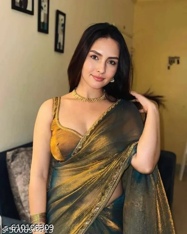 Ethnics_Presenting_New_Rich_Chfforn_Net_Soft_Fabric_Alpng_Rich_Border_Look_Saree_With_Blouse