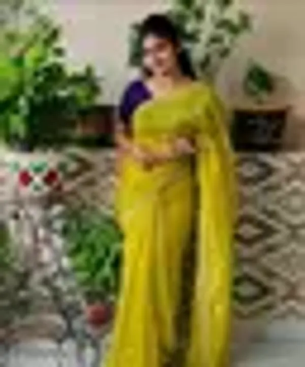 Fashion_New_Wedding_Traditional_Beautiful_Embroidery_Work_Chiffon_Saree_With_Blouse_Collocation_Saree_For_Women_Women_Sari_Festive_Saree_Wedding_Saree_For_Women
