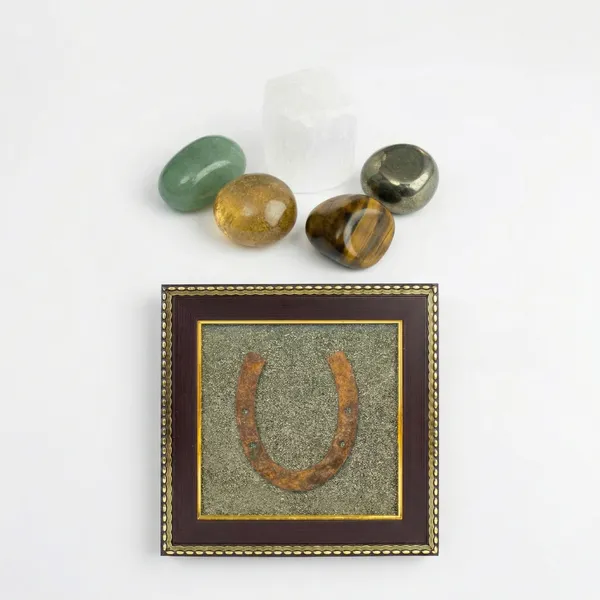 The_Lakshmi-Rakshak_Duo_|_Authentic_Horseshoe_Frame_&_Grade-A_Wealth_Matrix