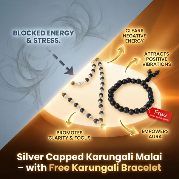 The_Raj-Akshaya_Master_Set_|_Premium_4-Piece_Silver_Karungali_&_Pyrite_Wealth_Bundle
