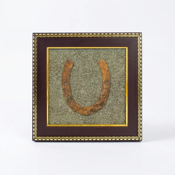 The_Dhana-Rakshak_Frame_|_Authentic_Kale_Ghode_Ki_Naal_&_Grade-A_Peru_Pyrite_for_Wealth_Defense