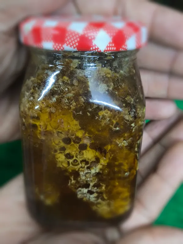 Burrow_Honey_With_Comb