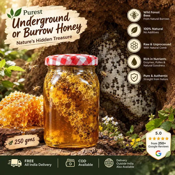 Burrow_Honey_With_Comb
