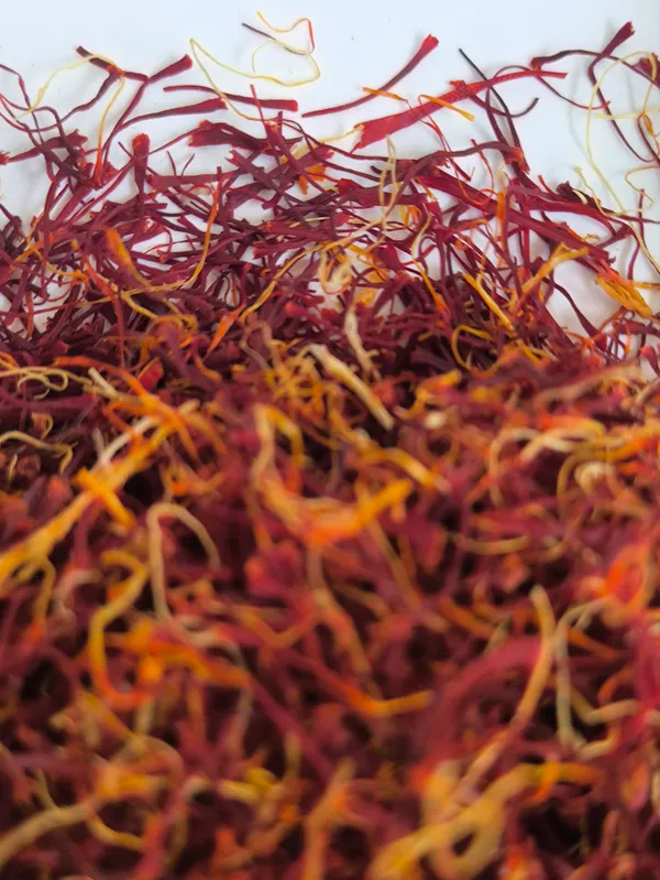 1gram_Organic_Saffron_with_Filaments_Lacha_wala_Kesar