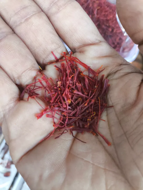 1gram_Premium_Kashmiri_Saffron