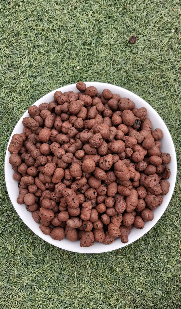 Clayballs_for_Support_Direct_Sapplings