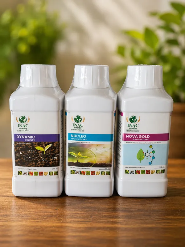 Seeddha_Advanced_Growth_Kit_Pack_Of_3