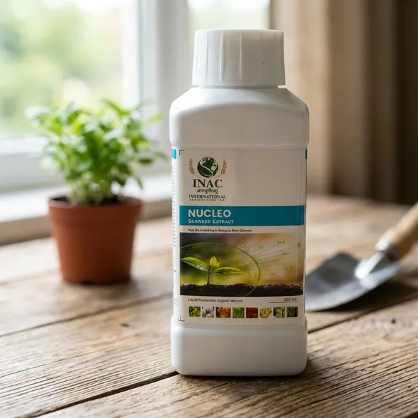 Seeddha_Nutrimix_Pro_Powered_By_Nucleo