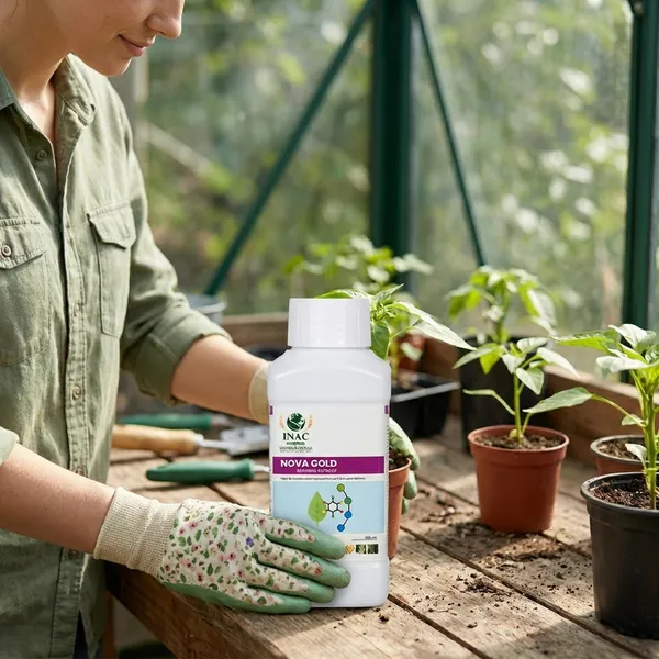 Seeddha_Grow_Pro_Powered_By_Novagold