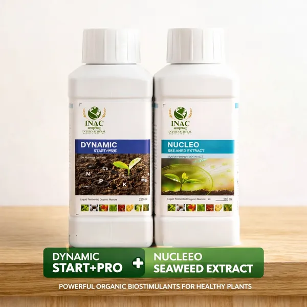 Seeddha_Nutrimix_Pro_Powered_By_Nucleo_And_Shield_Powered_By_Dynamic_Pack_Of_2