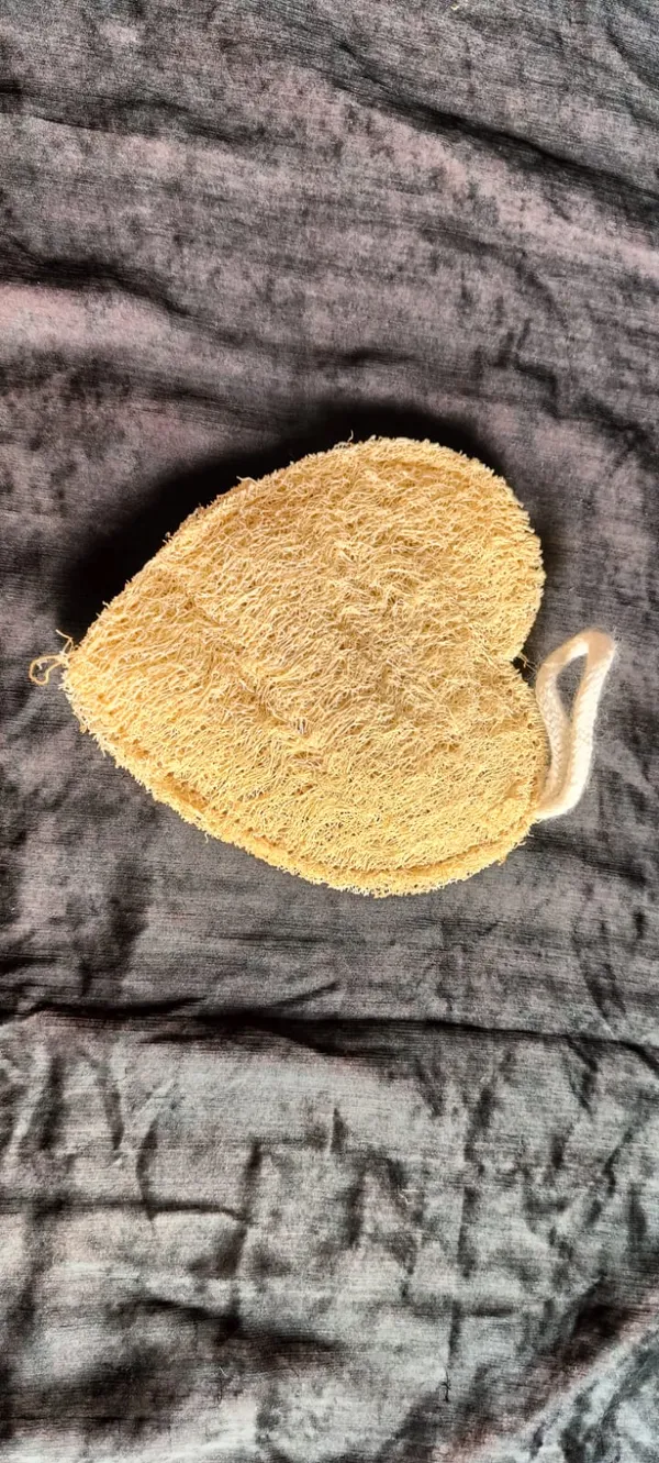 Natural_Loofah_Bath_Sponge_With_Hanging_Loop_Pack_Of_6