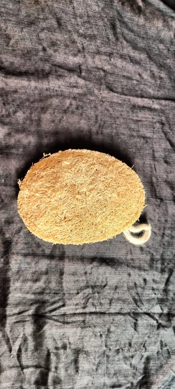 Natural_Loofah_Bath_Sponge_With_Handle_Pack_Of_6