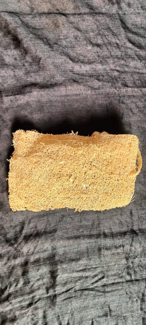 Natural_Loofah_Bath_Sponge_Exfoliating_Body_Scrubber_Pack_Of_6