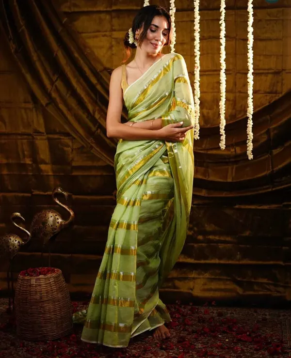 Pink_And_Gold_Embroidered_And_Solid_And_Plain_And_Self_Design_Premium_Saree_For_Women