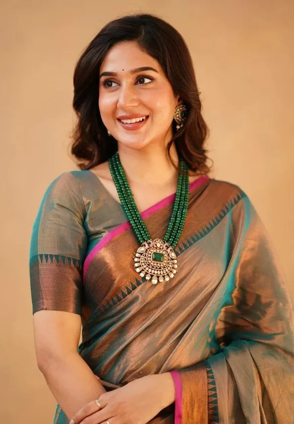 Brown_Embroidered_Premium_Saree_For_Women
