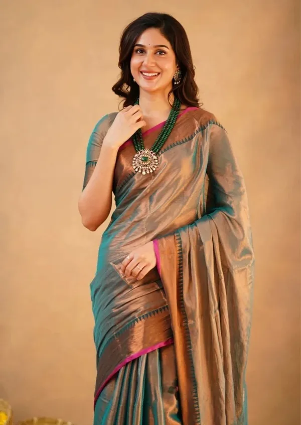 Brown_Embroidered_Premium_Saree_For_Women