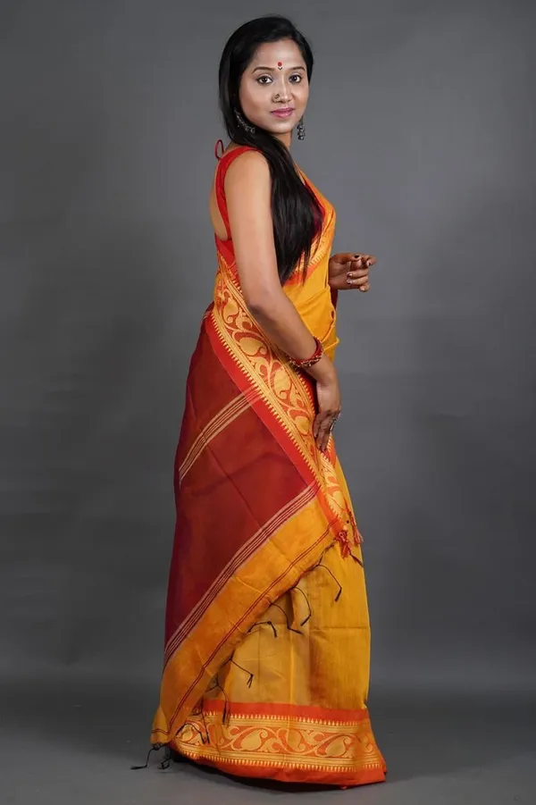 Multicolor_Striped_Premium_Saree_For_Women