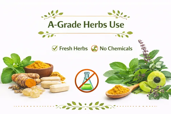 No_Knee_Replacement_Ayurvedic_Joint_Relief_Kit_combo