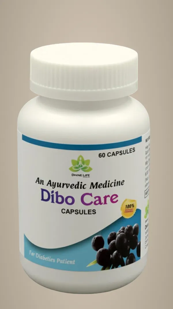 Piles_Care_Ayurvedic_Medicine_Capsules_-_60_Capsules_&_Dibo_Care_Ayurvedic_Diabetes_Management_Capsules_-_60_Capsules_(Combo_of_2)