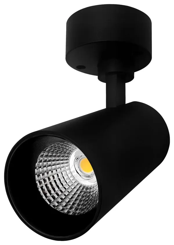 Wall_Light_Outdoor_Moon_12W_And_Led_Track_Light_Black_Cylindrical_Spotlight_With_Adjustable_Mounting_Warm_Light_10W_Combo_Pack_Of_2